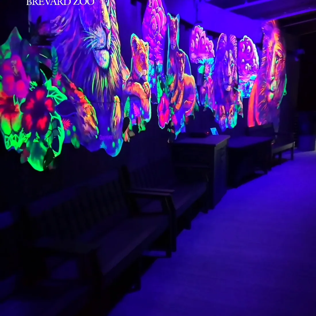 Lights On — Brevard Zoo