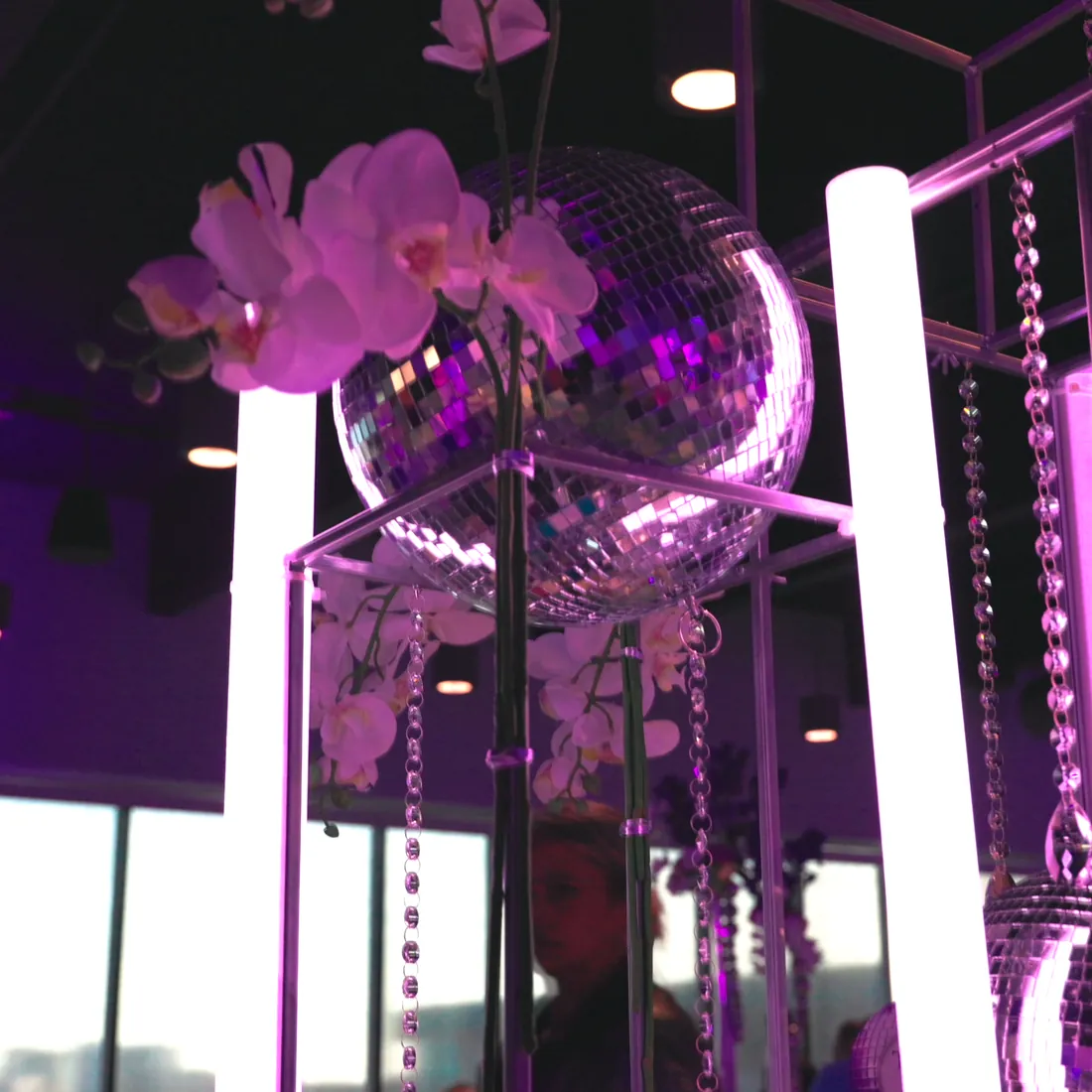 Aqua Gala — Clearwater Marine Aquarium